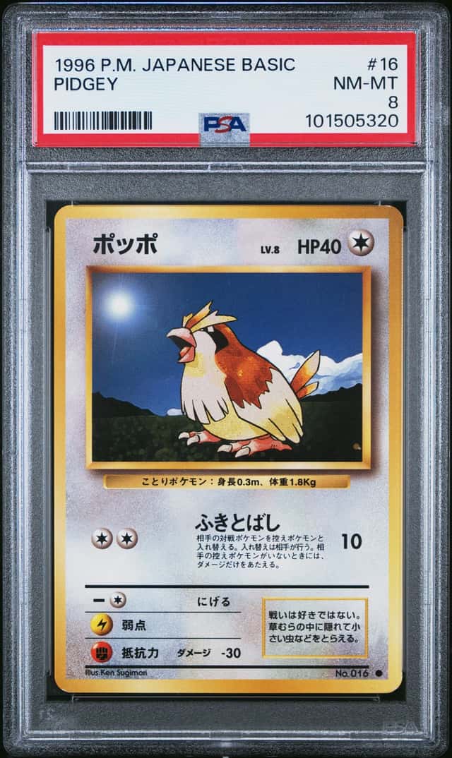 Pidgey