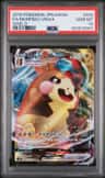 Morpeko Vmax