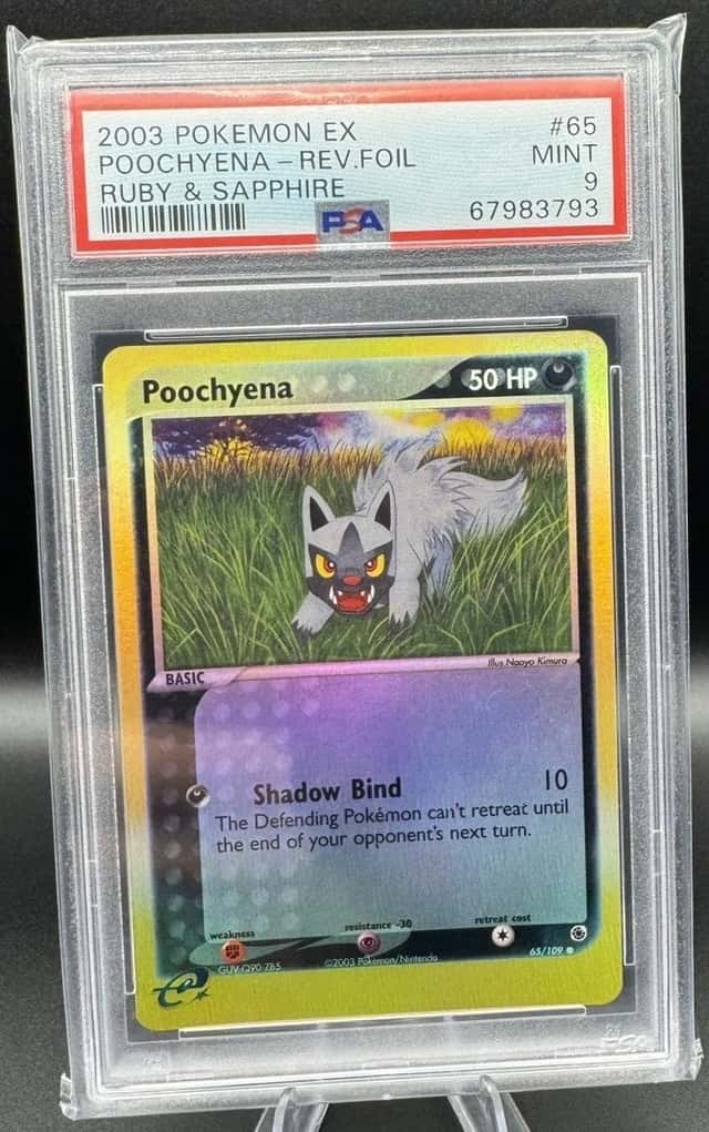 Poochyena