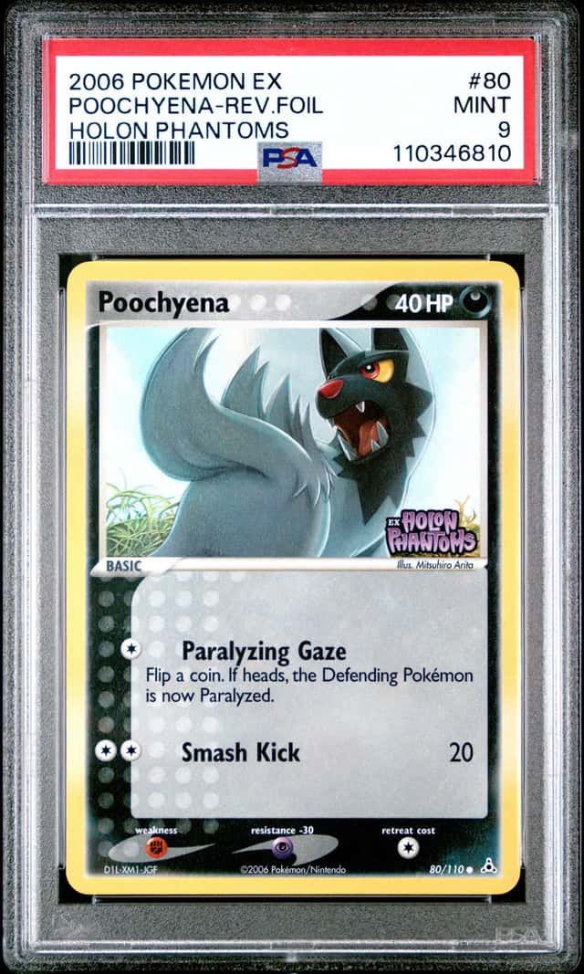 Poochyena