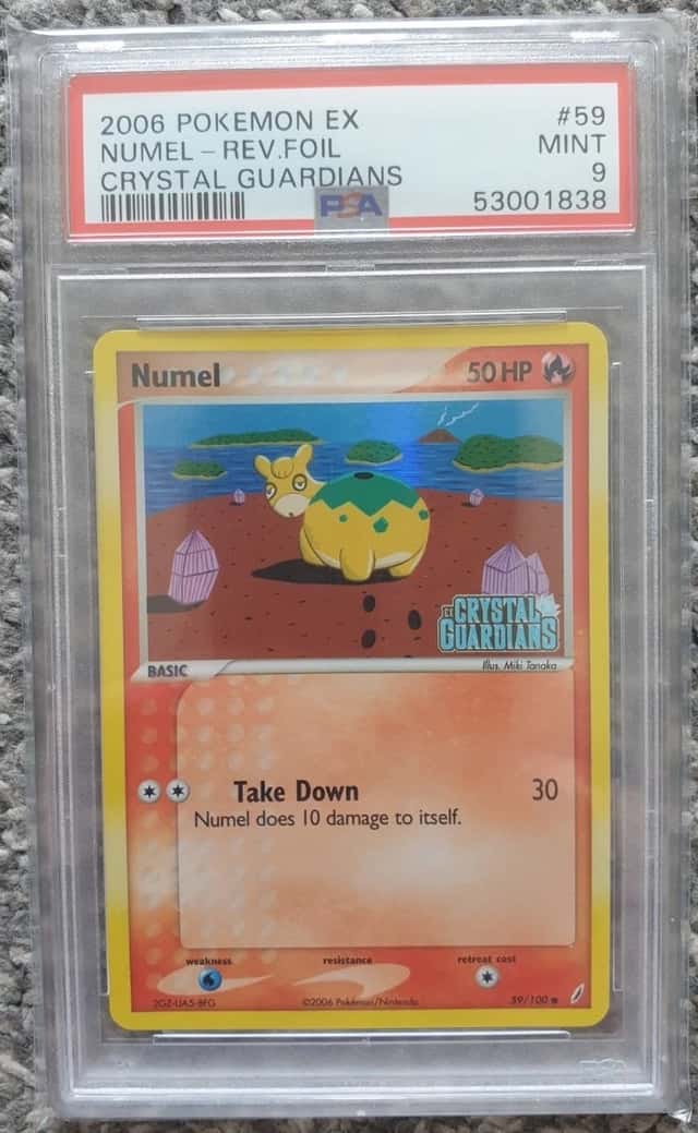 Numel