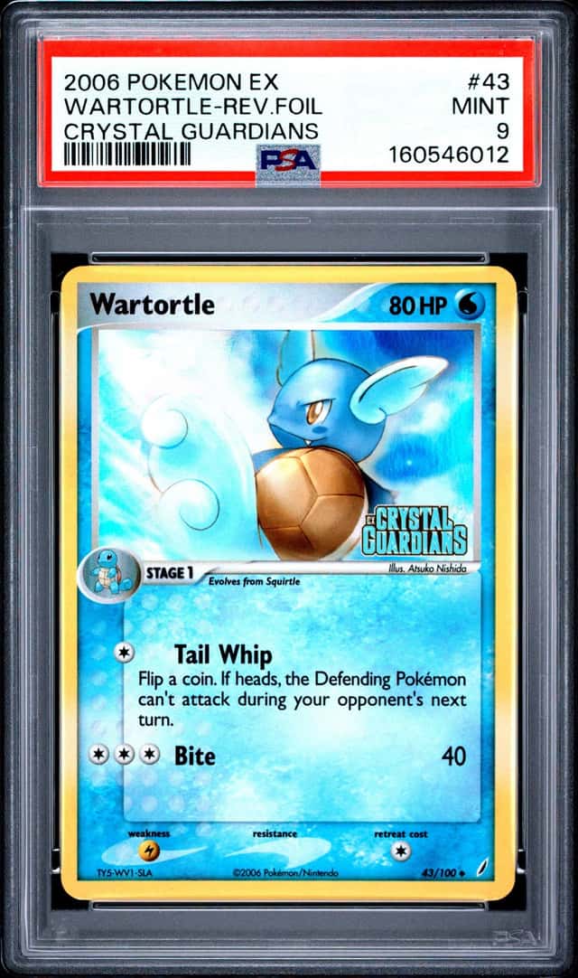 Wartortle