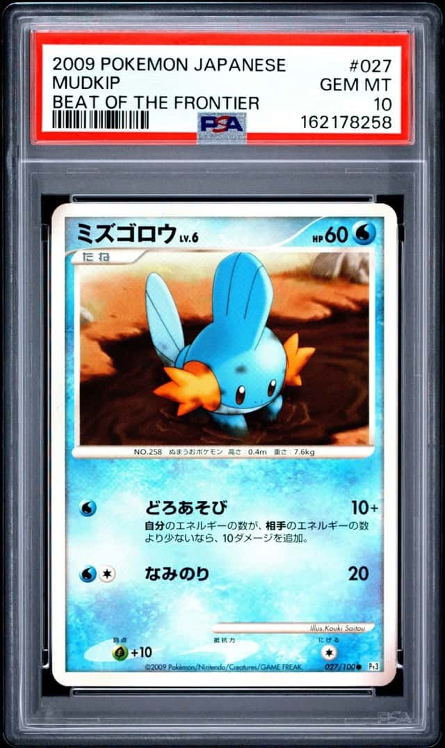 Mudkip