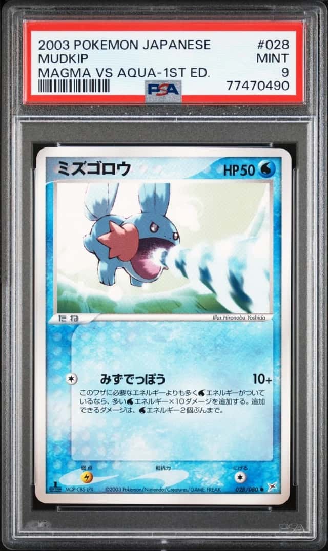 Mudkip