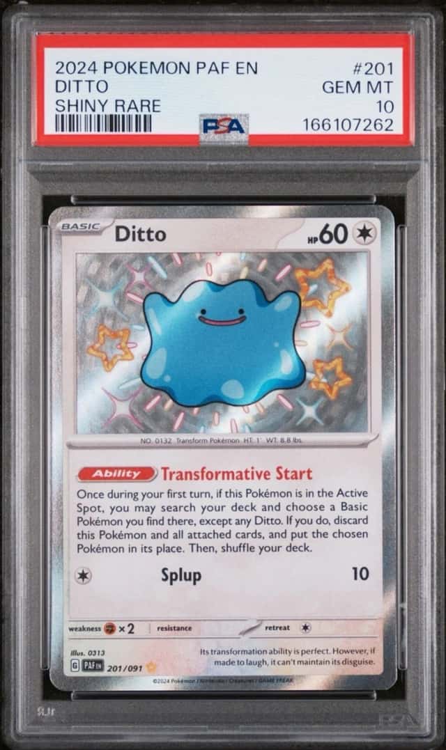 Ditto