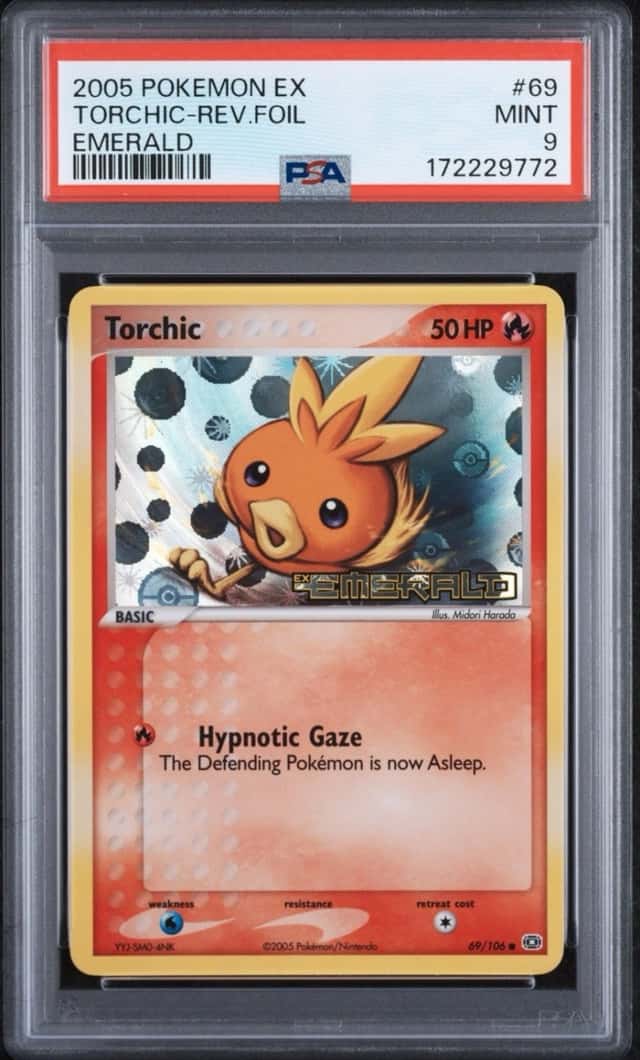 Torchic