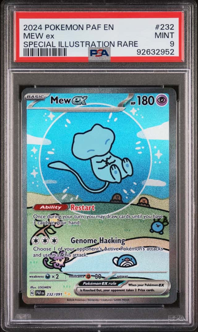 MEW ex
