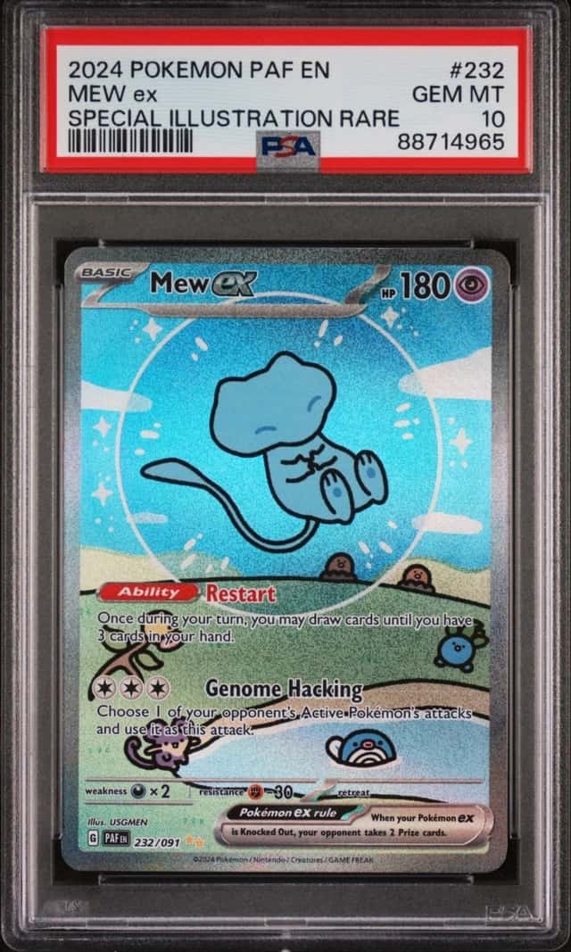 MEW ex
