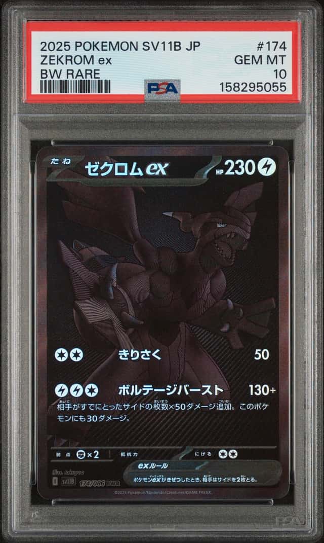 ZEKROM ex