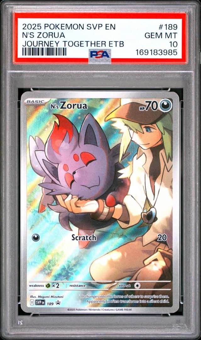 N's Zorua