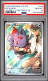 N'S Zorua
