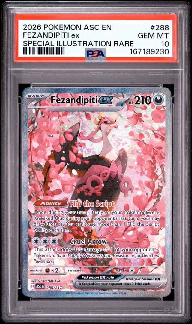 FEZANDIPITI ex