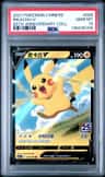 Pikachu V-Union