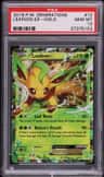 Leafeon Ex