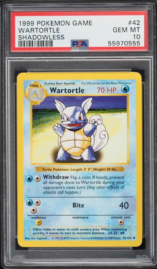Wartortle