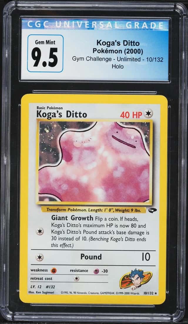 Koga's Ditto