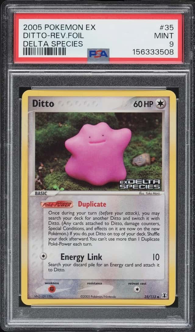 Ditto