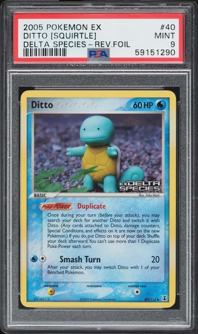 Ditto [Squirtle]