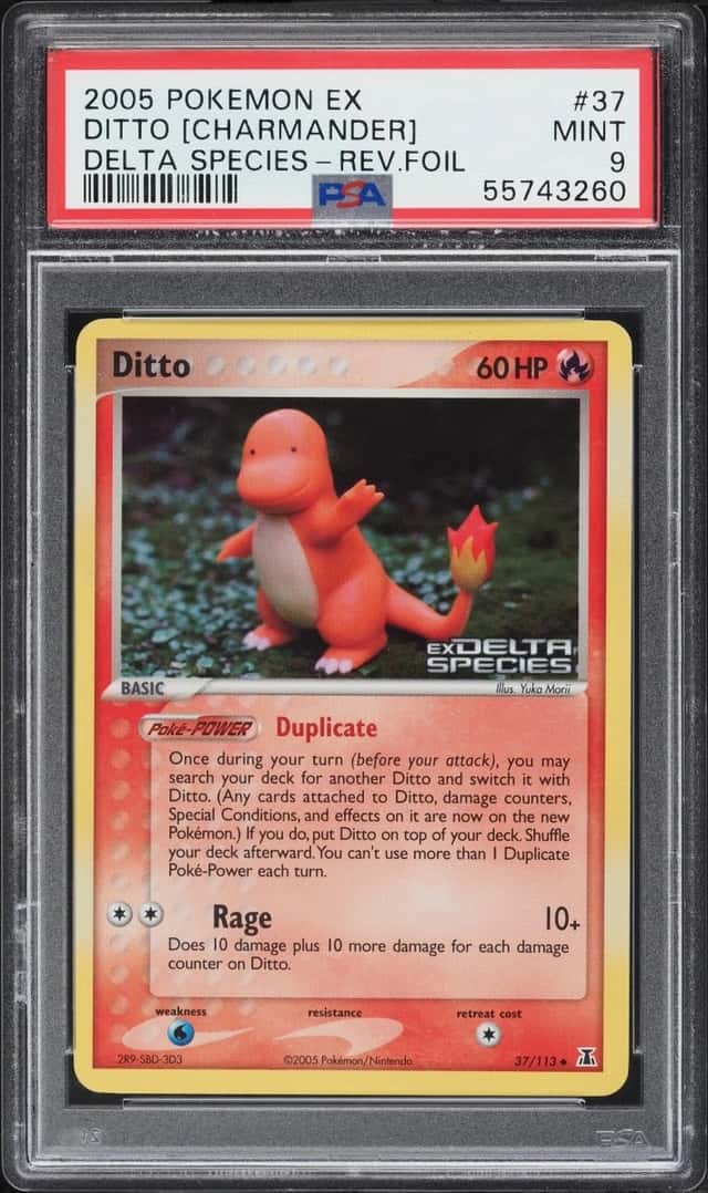 Ditto [Charmander]