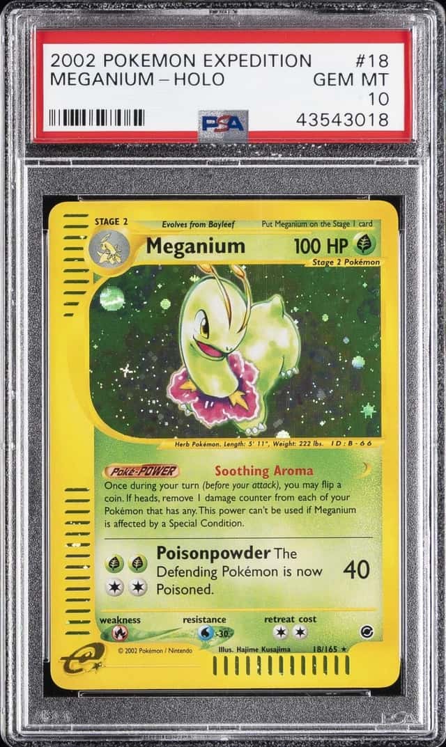 Meganium
