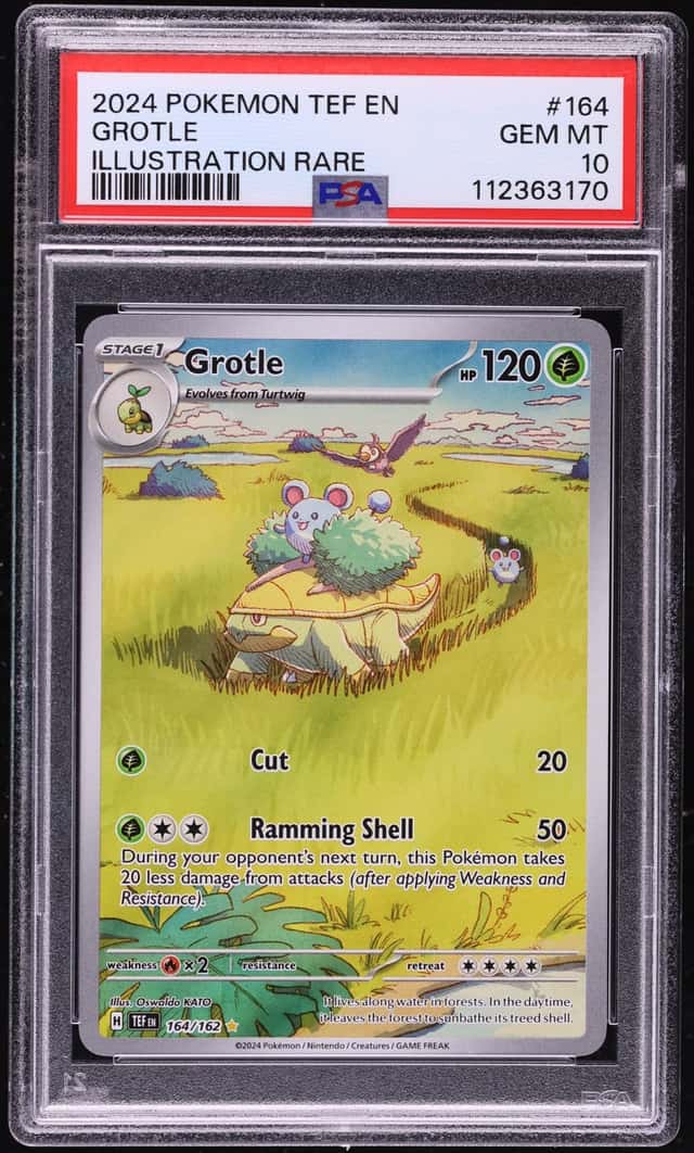 Grotle