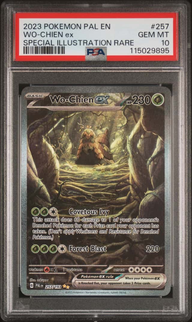 WO-CHIEN ex