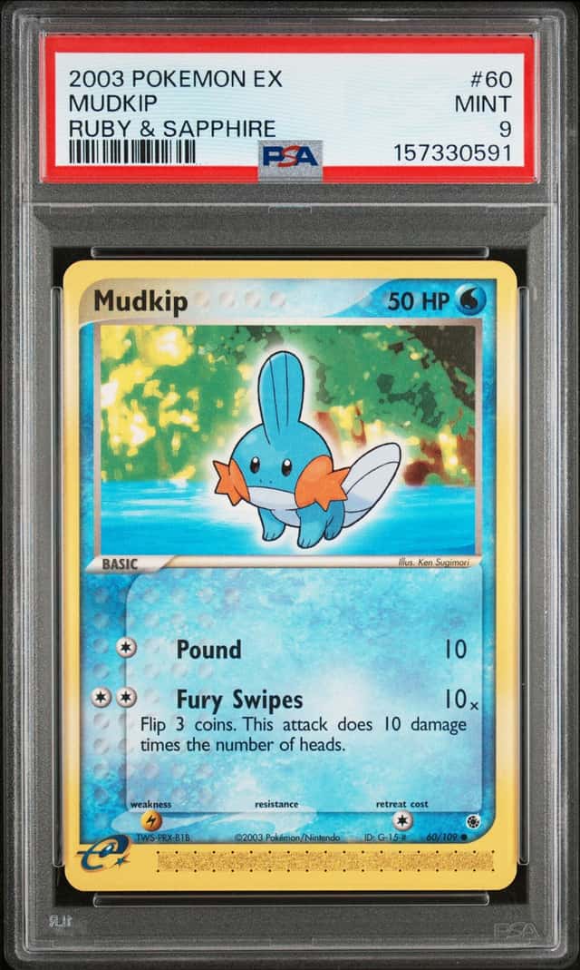 Mudkip