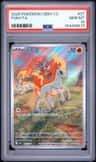 Ponyta