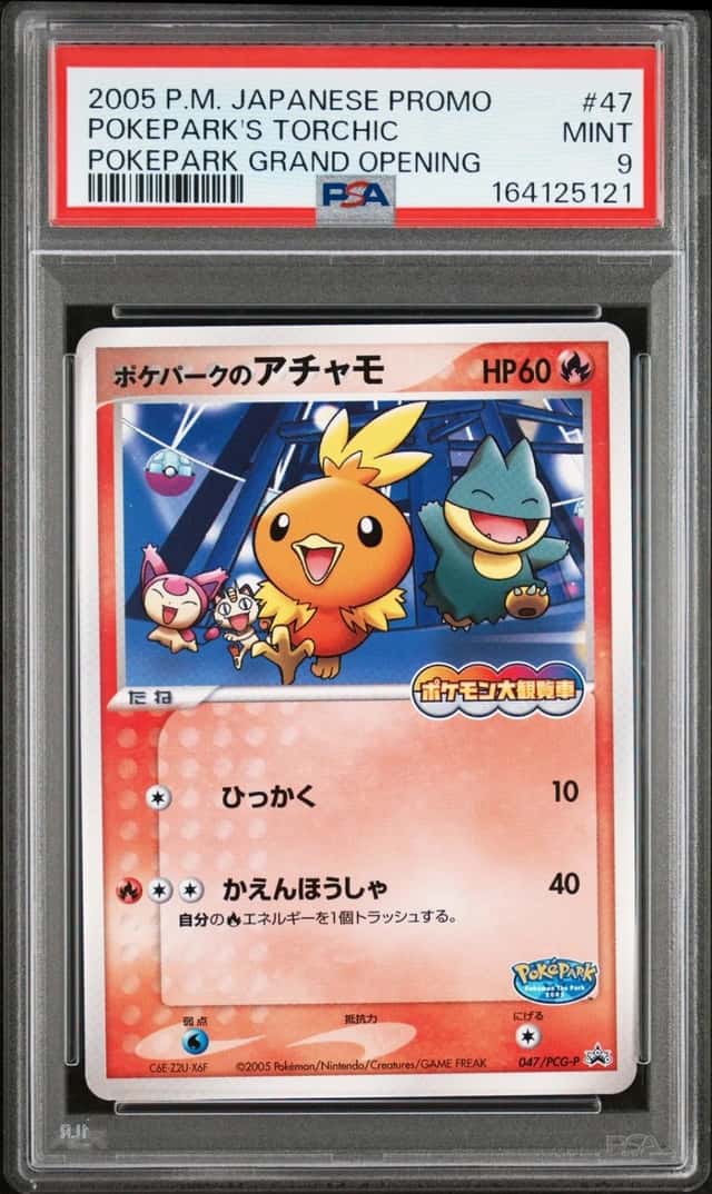 Pokepark's Torchic