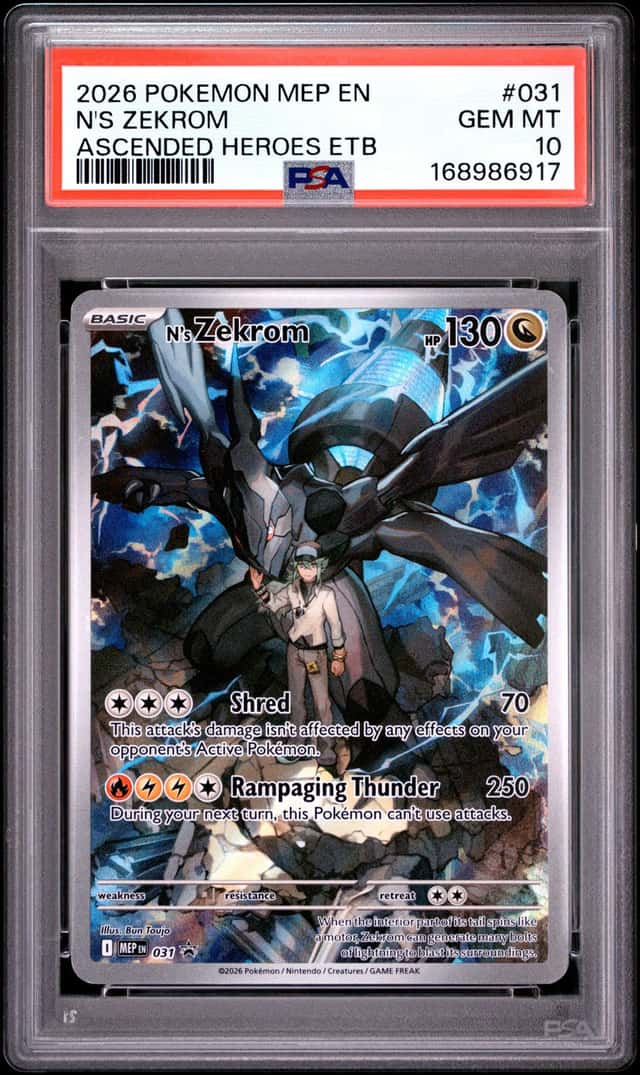 N's Zekrom