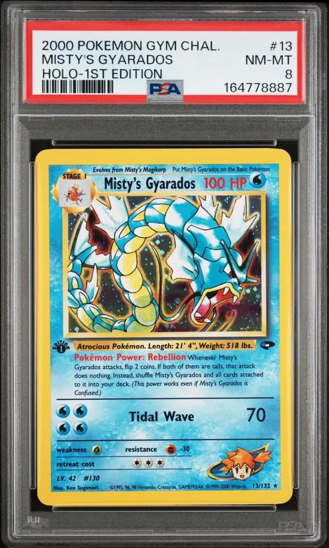 Misty's Gyarados