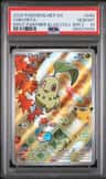 Chikorita