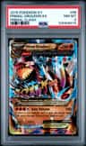 Primal Groudon Ex