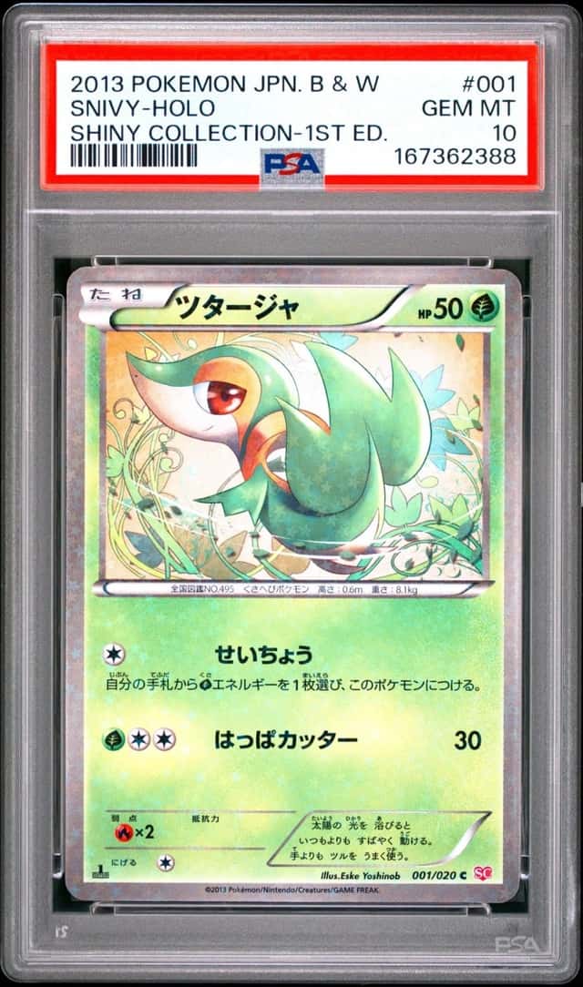 Snivy
