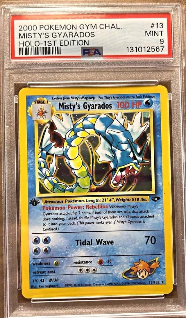 Misty's Gyarados