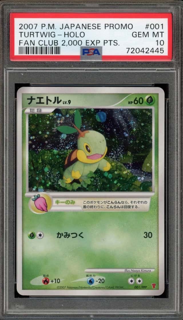 Turtwig