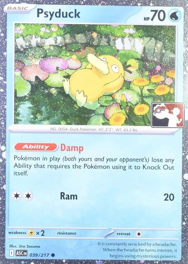 Base / no variant