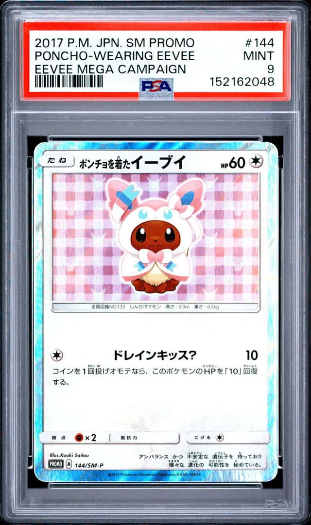 Poncho-Wearing Eevee
