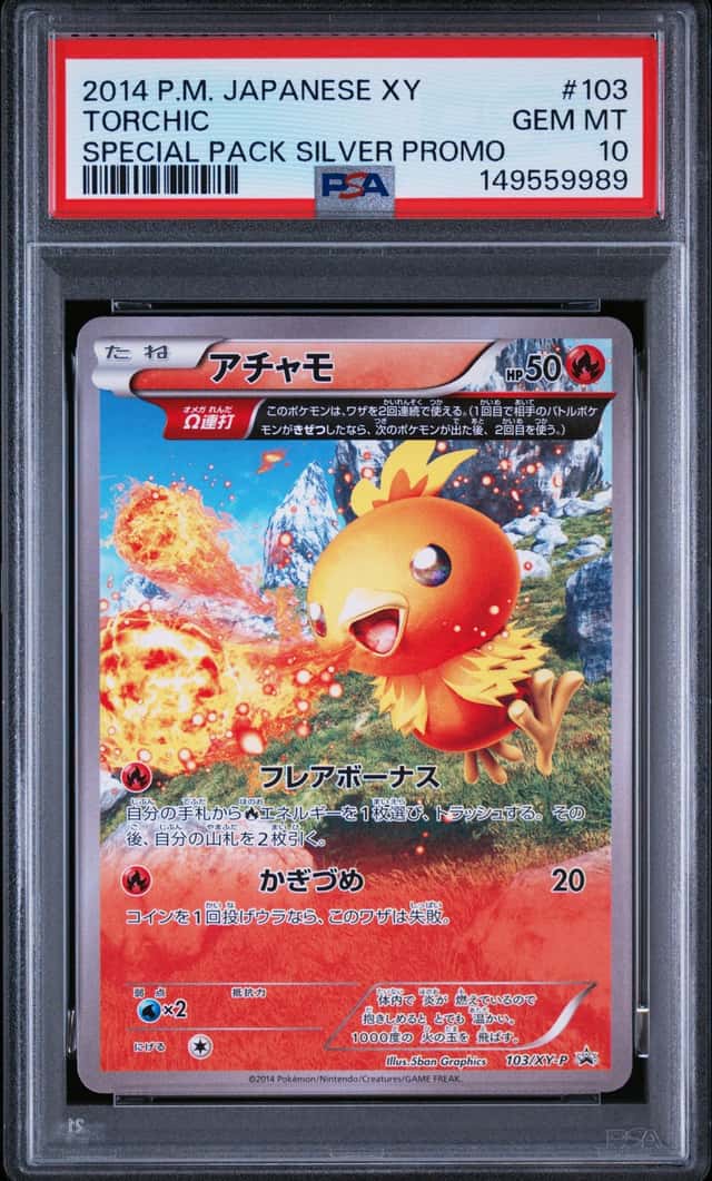 Torchic