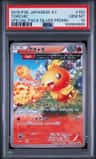 Torchic
