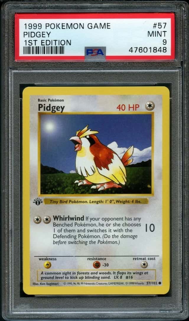 Pidgey
