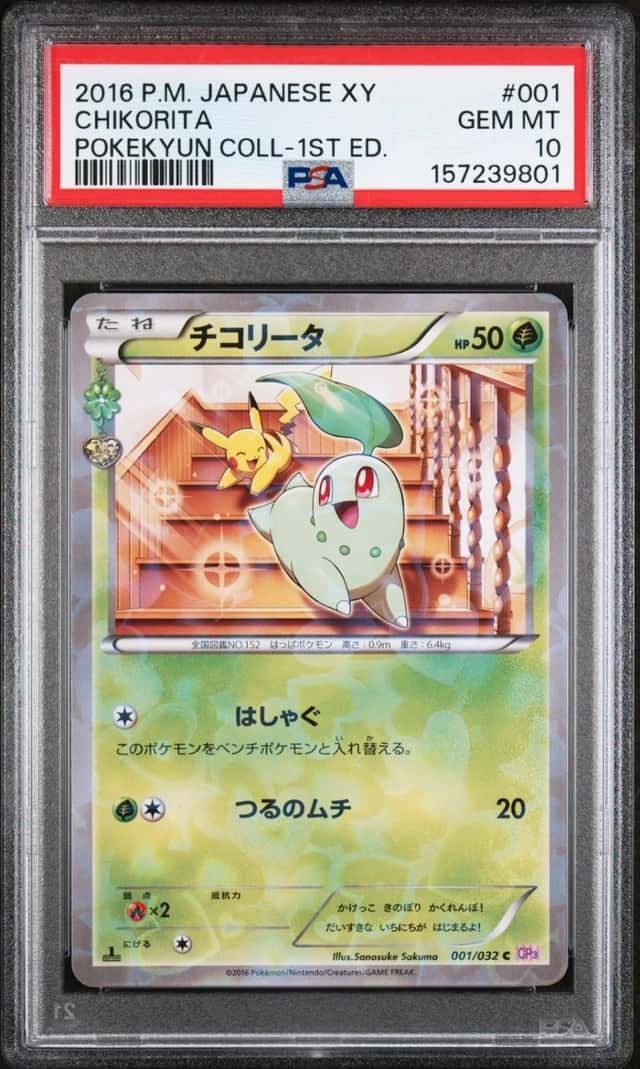 Chikorita
