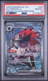 N'S Zoroark Ex