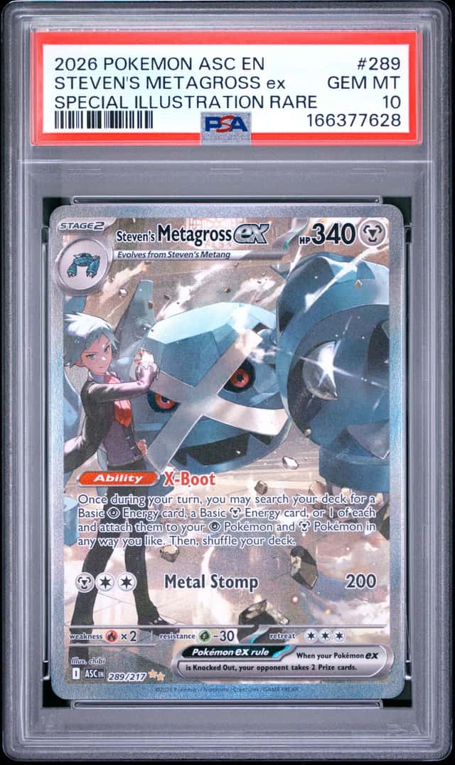 STEVEN'S METAGROSS ex
