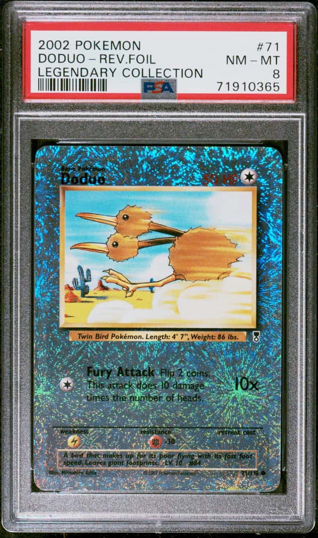 Doduo