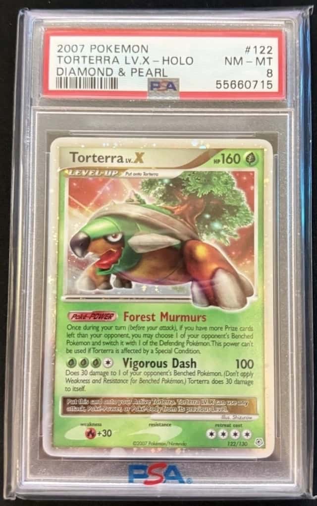 TORTERRA LV.X