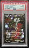Yveltal Ex