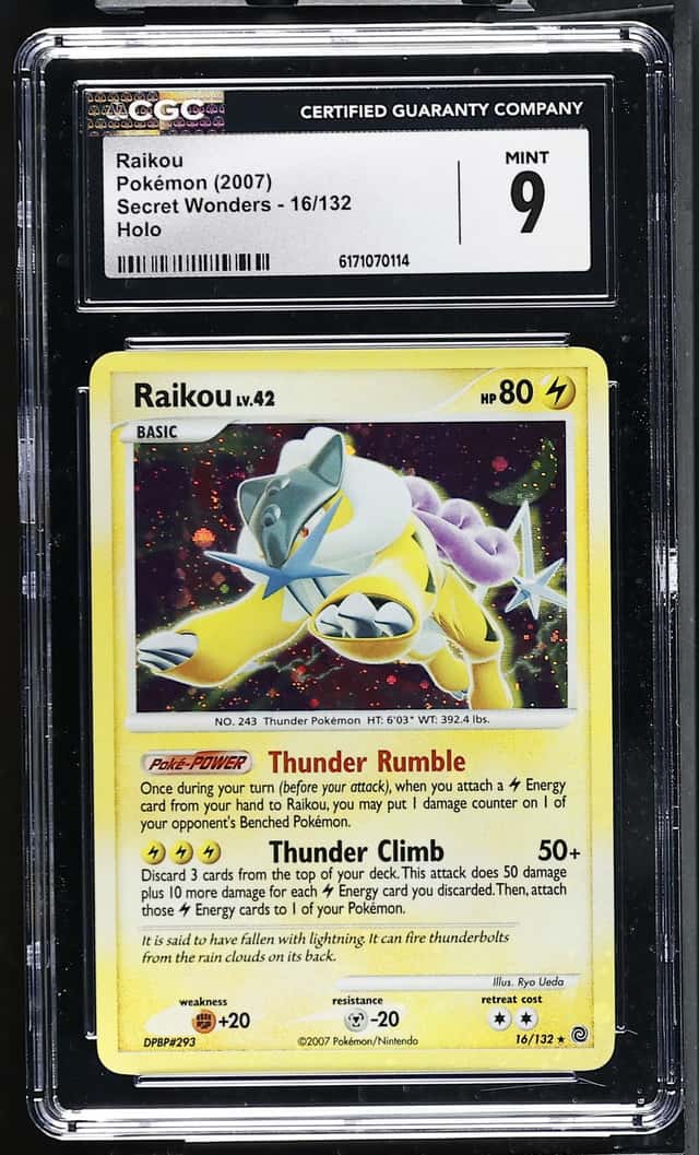 Raikou