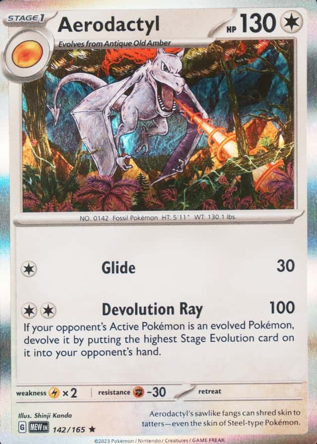 Holo