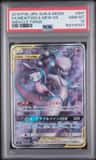 Mewtwo & Mew Gx